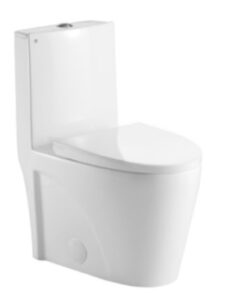 ONE-PIECE, DUAL FLUSH, ELONGATED TOILET